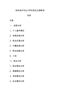 软件技术专业大学生职业生涯规划