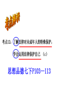 法律对未成年人的特殊保护(考点12)(复习课件)