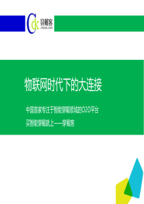 穿戴客-中国首家专注于智能穿戴领域的O2O平台商业计划书（PDF36页）