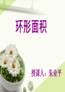 环形的面积课件