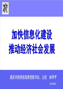 重庆市经委主任沐华平谈加快信息化建设推进经济社会发展