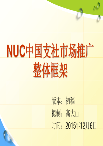 某品牌中国市场营销推广策划案(重自媒体、新媒体)