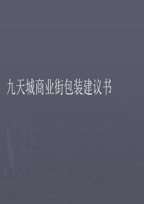 精选九天城商业街包装方案资料