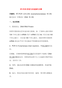 RT-PCR原理与实验操作步骤讲解