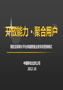 开放能力聚合用户---借助互联网大平台构建数据业务双