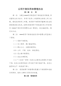 公司干部任用和管理办法(切实可行的方案)(DOC)