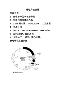 酵母实验方法