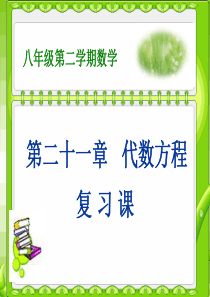 上海教育版八下第21章《代数方程》ppt复习课件