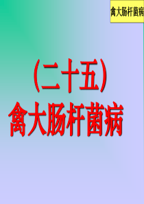 2019-精品课件《禽病学》(完整版)25禽大肠杆菌病-文档资料