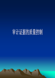 审计证据的质量控制(ppt 57)