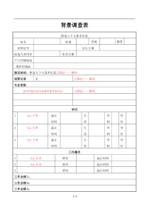 背景调查报告