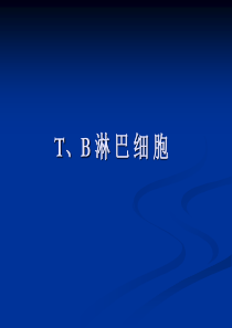 T、B淋巴细胞