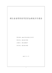 湖北级财政项目资金绩效评价报告