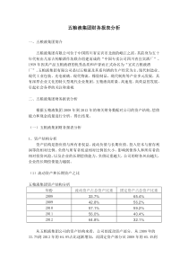 五粮液集团财务报表分析