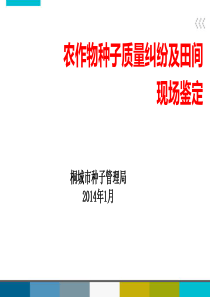 农作物种子质量纠纷及田间现场鉴定