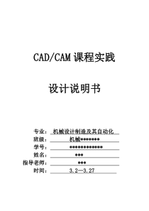 CADCAM课程实践设计说明书