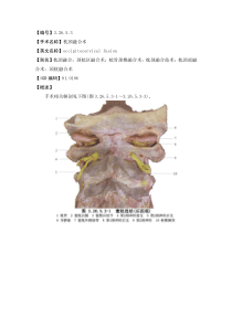 手术-枕颈融合术