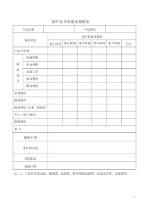 产品开发成本预算表