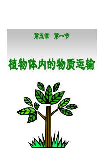 【初中生物】植物体内的物质运输PPT课件(2份)