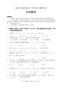 武昌区2020届高三元月调考文数试题(含答案)