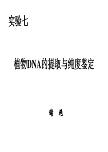 实验七-植物DNA的提取与纯度鉴定