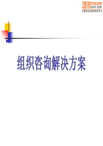 企业变革解决方案(PPT-20页)