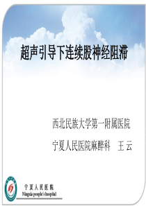 超声引导下l连续股神经阻滞