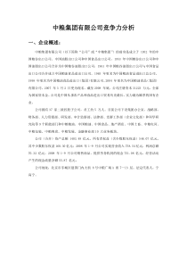 中粮集团有限公司竞争力分析