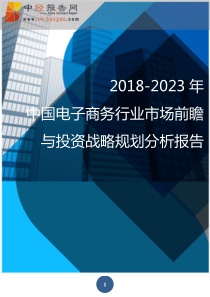 2018-2023年中国电子商务行业市场前瞻与投资战略规划分析报告(目录)