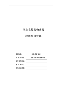 网上在线购物系统项目管理