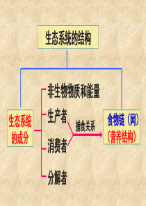 高三生物一轮复习课件――5.2生态系统的能量流动