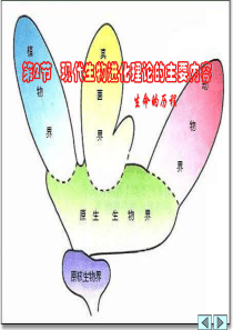 高一生物现代生物进化理论的主要内容2