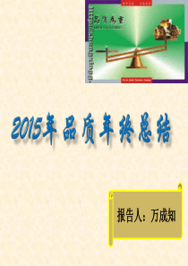 2015年项目品质年终总结 - 副本