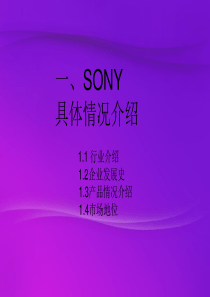 跨国SONY分析PPT