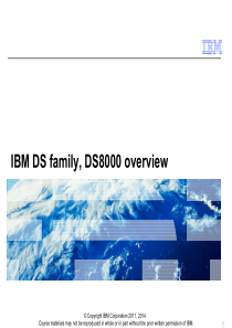 IBM_DS8000_SSF03G01