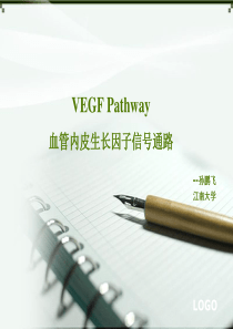 VEGF(血管内皮生长因子)信号通路  精美ppt