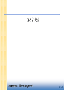 宏观经济学 第6章 失业