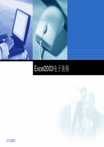 Excel2003教程