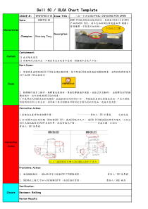 For-DELL-5C-report-format