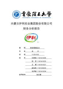 伊利集团财务分析报告