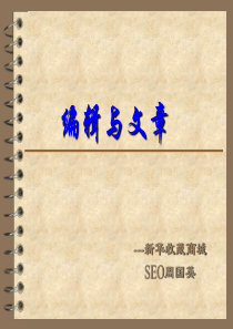 编辑培训内容1――SEO周国英