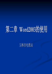 计算机基础知识(word、excel)