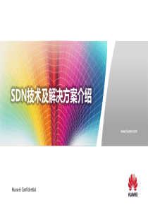 SDN技术及解决方案介绍