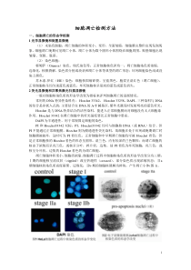 细胞凋亡检测方法