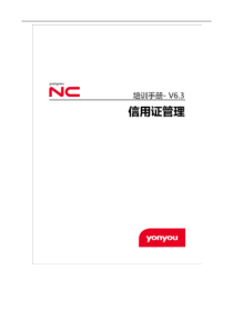 NC63培训手册-信用证管理