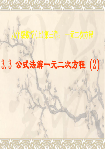 3.3公式法解一元二次方程 课件 (青岛版九年级上册) (4)