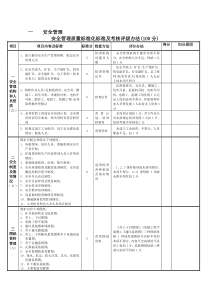 质量标准化检查评分表