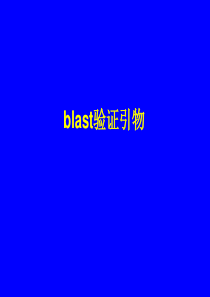 blast验证引物