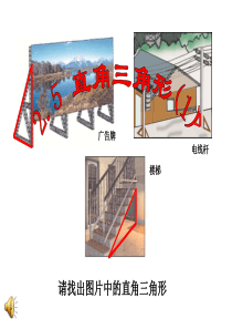 2.5直角三角形(第1课时)