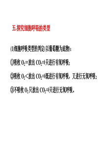 5.3.3细胞呼吸方式的判断及计算